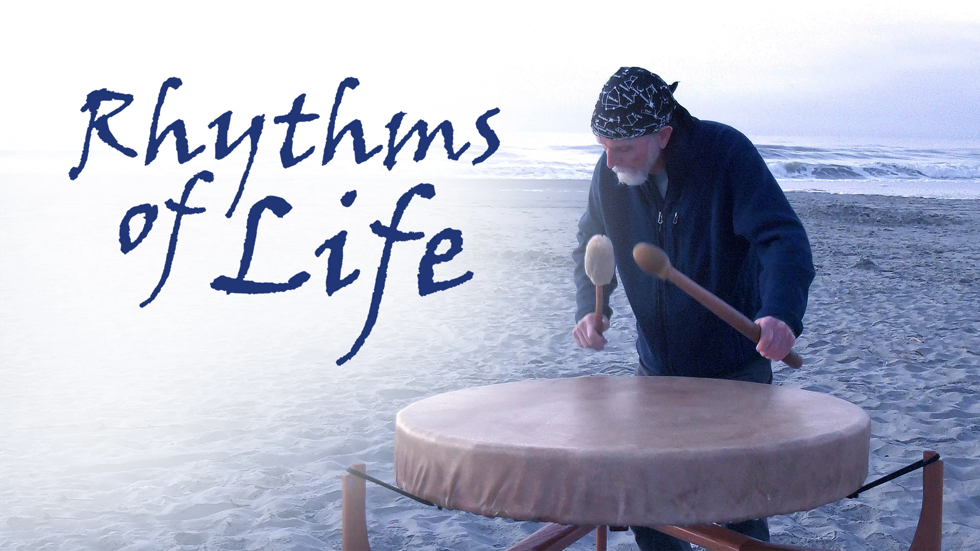 Rhythms of Life poster